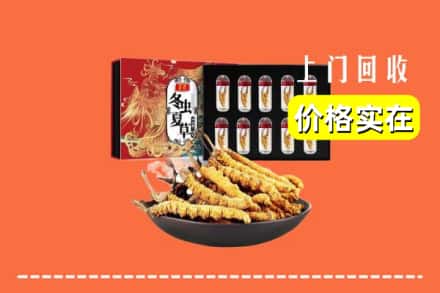 沿滩区回收冬虫夏草