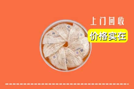 沿滩区回收燕窝