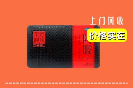 沿滩区回收阿胶