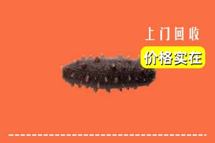 沿滩区回收海参