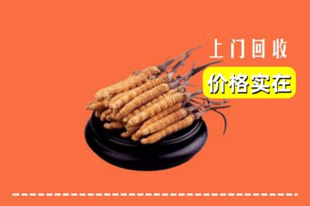 沿滩区回收冬虫夏草